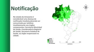 No estado da Amazonia é
considerável uma doença de
notificação imediata,devendo ser
comunicada por telefone
imediatamente aos órgãos
componentes: Secretaria Municipal
de Saúde, Coordenadoria Regional
de Saúde, Secretaria Estadual de
Saúde, ou órgão responsavel na
cidade.
 
