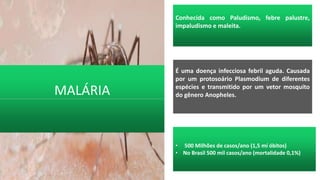 • 500 Milhões de casos/ano (1,5 mí óbitos)
• No Brasil 500 mil casos/ano (mortalidade 0,1%)
É uma doença infecciosa febril aguda. Causada
por um protosoário Plasmodium de diferentes
espécies e transmitido por um vetor mosquito
do gênero Anopheles.
Conhecida como Paludismo, febre palustre,
impaludismo e maleita.
MALÁRIA
 