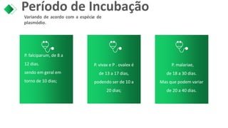 Período de Incubação
Variando de acordo com a espécie de
plasmódio.
P. falciparum, de 8 a
12 dias.
sendo em geral em
torno de 10 dias;
P. malariae,
de 18 a 30 dias.
Mas que podem variar
de 20 a 40 dias.
.
P. vivax e P . ovalex é
de 13 a 17 dias,
podendo ser de 10 a
20 dias;
 