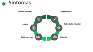 Sintomas
Vômito e diarréia
Cefaleia
Calafrios e suor
Esplenomegalia
Mal estar
Febre (intermitente)
 
