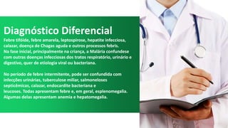 Diagnóstico Diferencial
Febre tifóide, febre amarela, leptospirose, hepatite infecciosa,
calazar, doença de Chagas aguda e outros processos febris.
Na fase inicial, principalmente na criança, a Malária confundese
com outras doenças infecciosas dos tratos respiratório, urinário e
digestivo, quer de etiologia viral ou bacteriana.
No período de febre intermitente, pode ser confundida com
infecções urinárias, tuberculose miliar, salmoneloses
septicêmicas, calazar, endocardite bacteriana e
leucoses. Todas apresentam febre e, em geral, esplenomegalia.
Algumas delas apresentam anemia e hepatomegalia.
 