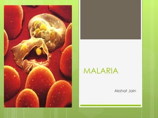 MALARIA  Akshat Jain  