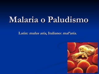 Malaria o Paludismo Latin:  malus aria , Italiano:  mal’aria. 