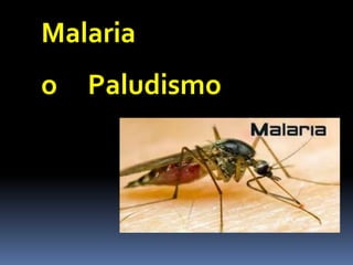 Malaria
o Paludismo
 