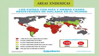 AREAS ENDEMICAS
 