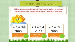 PERIODO DE TRASMISION
 