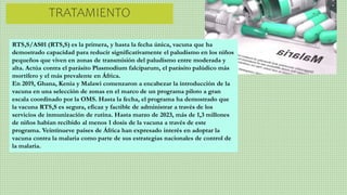 TRATAMIENTO
RTS,S/AS01 (RTS,S) es la primera, y hasta la fecha única, vacuna que ha
demostrado capacidad para reducir significativamente el paludismo en los niños
pequeños que viven en zonas de transmisión del paludismo entre moderada y
alta. Actúa contra el parásito Plasmodium falciparum, el parásito palúdico más
mortífero y el más prevalente en África.
En 2019, Ghana, Kenia y Malawi comenzaron a encabezar la introducción de la
vacuna en una selección de zonas en el marco de un programa piloto a gran
escala coordinado por la OMS. Hasta la fecha, el programa ha demostrado que
la vacuna RTS,S es segura, eficaz y factible de administrar a través de los
servicios de inmunización de rutina. Hasta marzo de 2023, más de 1,3 millones
de niños habían recibido al menos 1 dosis de la vacuna a través de este
programa. Veintinueve países de África han expresado interés en adoptar la
vacuna contra la malaria como parte de sus estrategias nacionales de control de
la malaria.
 