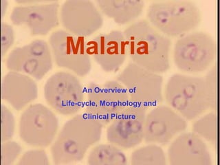 Malaria
An Overview of
Life-cycle, Morphology and
Clinical Picture
 