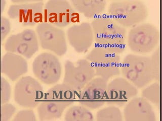 Malaria An Overview
of
Life-cycle,
Morphology
and
Clinical Picture
 
