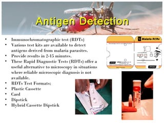 Malaria Rdt Control Kit Malaria and Dengue | PPT