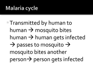 Transmitted by human to human    mosquito bites human    human gets infected    passes to mosquito    mosquito bites another person   person gets infected  