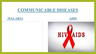 COMMUNICABLE DISEASES
MALARIA AIDS
 