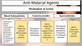 Anti-Malarial Agents
Mechanism of Action
Blood Schizonticides
Chloroquine,
Quinine
Sulfate,
Amodiaquine,
Artesunate,
Artemether
Mefloquine,
Atovaquone,
Proguanil,
Pyrimethamine
Cycloguanil
pamoate
MOA-
Target the
asexual
blood stages
of the
parasite.
Gametocytocides
Primaquine
Phosphate,
pamaquine,
Artesunate
MOA-
Target the
sexual
stages of the
parasite to
prevent
transmissio
n.
Sporozoiticides
Primaquine
Phosphate,
pamaquine,
Proguanil,
Cycloguanil
pamoate
MOA-
Target the
liver stages
of the
parasite.
 