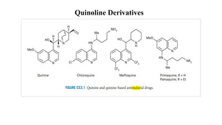 Quinoline Derivatives
 
