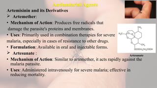 Antimalarial Agents
Artemisinin and its Derivatives
 Artemether:
• Mechanism of Action: Produces free radicals that
damage the parasite's proteins and membranes.
• Uses: Primarily used in combination therapies for severe
malaria, especially in cases of resistance to other drugs.
• Formulation: Available in oral and injectable forms.
 Artesunate :
• Mechanism of Action: Similar to artemether, it acts rapidly against the
malaria parasite.
• Uses: Administered intravenously for severe malaria; effective in
reducing mortality.
Artesunate
 
