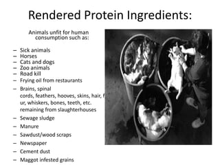 Rendered Protein Ingredients:Animals unfit for human consumption such as:Sick animalsHorsesCats and dogsZoo animalsRoad killFrying oil from restaurants