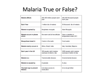 Malaria True or False?