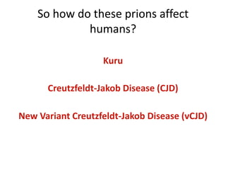 The initial discoveries of BSE…In April of 1985, the first identified case of BSE was initially believed to be “grass staggers,” a common illness caused by Magnesium deficiency. The cow was observed as seeming to hallucinate.Given an “Unknown” diagnosis, as a possible brain tumor or lead poisoning. The brain autopsy revealed spongiform patterns.On March 20, 1996 the UK Department of Health announced that BSE was in fact transmissible to humans.The announcement was so devastating to the UK cattle economy that  many ranchers were forced into bankruptcy beacuse of the immediate loss of entire herds of potentially contaminated cattle, as well as the immediate consumer boycott of beef and beef products. This downturn was so terrible in fact that there was an epidemic of suicides within the ranching community.In June, 1987 John Wilesmith, a veterinarian epidemiologist for the Ministry of Agriculture, Fishers and Food (MAFF) made the link between  BSE and cattle feed made from scrapie infected sheep.