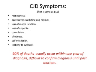 Prions in the bodyFound in mainly in the brain, spinal cord and nervous tissue, with increasing research discovering prions in glands and blood as well.Physical Attributes of the affected brain:Enlarged astrocytes- Star shaped cells attached to blood vessels in brain.Holes where neurons used to be.Amyloid Plaques-flower shaped protein waxy buildup. BSE BrainScrapie Brain
