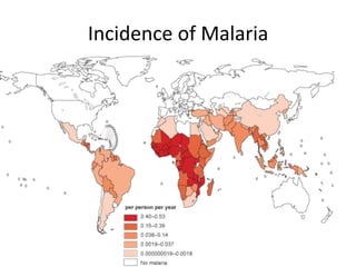 Incidence of Malaria