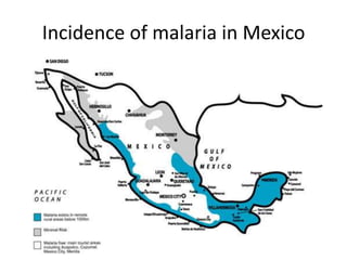 Incidence of malaria in Mexico