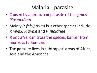 Malaria - parasiteCaused by a protozoan parasite of the genus PlasmodiumMainly P. falciparum but other species include P. vivax, P. ovale and P. malariaeP. knowlesi can cross the species barrier from monkeys to humansThe parasite lives in subtropical areas of Africa, Asia and the Americas