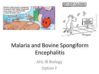 Malaria and BovineSpongiformEncephalitis AHL IB Biology Option F 