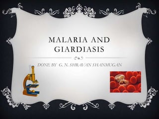 MALARIA AND 
GIARDIASIS 
DONE BY G. N. SHRAVAN SHANMUGAN 
 