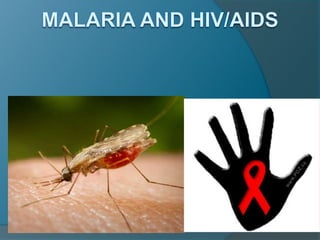 Malaria and HIV/AIDS 