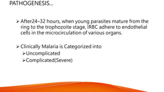 PATHOGENESIS...
 After24–32 hours, when young parasites mature from the
ring to the trophozoite stage, IRBC adhere to endothelial
cells in the microcirculation of various organs.
 Clinically Malaria is Categorized into
Uncomplicated
Complicated(Severe)
 