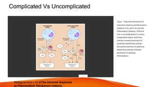 Complicated Vs Uncomplicated
Malaguarnera L et alThe immune response
to Plasmodium falciparum malaria.
 