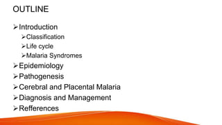 OUTLINE
Introduction
Classification
Life cycle
Malaria Syndromes
Epidemiology
Pathogenesis
Cerebral and Placental Malaria
Diagnosis and Management
Refferences
 
