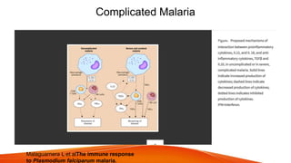 Complicated Malaria
Malaguarnera L et alThe immune response
to Plasmodium falciparum malaria.
 