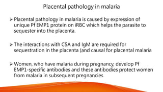 Placental pathology in malaria
 Placental pathology in malaria is caused by expression of
unique Pf EMP1 protein on iRBC which helps the parasite to
sequester into the placenta.
 The interactions with CSA and IgM are required for
sequestration in the placenta (and causal for placental malaria
 Women, who have malaria during pregnancy, develop Pf
EMP1-specific antibodies and these antibodies protect women
from malaria in subsequent pregnancies
 