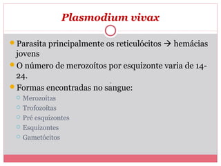 Plasmodium vivax
Parasita principalmente os reticulócitos  hemácias

jovens
O número de merozoítos por esquizonte varia de 1424.
Formas encontradas no sangue:






Merozoítas
Trofozoítas
Pré esquizontes
Esquizontes
Gametócitos

 