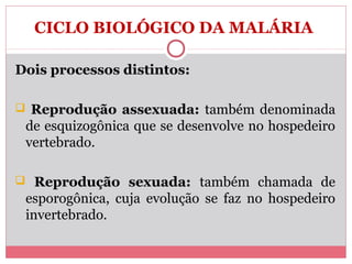 CICLO BIOLÓGICO DA MALÁRIA
Dois processos distintos:
 Reprodução assexuada: também denominada

de esquizogônica que se desenvolve no hospedeiro
vertebrado.
 Reprodução sexuada: também chamada de

esporogônica, cuja evolução se faz no hospedeiro
invertebrado.

 