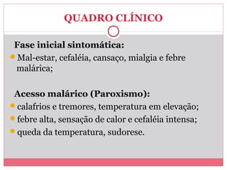 QUADRO CLÍNICO
Fase inicial sintomática:
Mal-estar, cefaléia, cansaço, mialgia e febre
malárica;
Acesso malárico (Paroxismo):
calafrios e tremores, temperatura em elevação;
febre alta, sensação de calor e cefaléia intensa;
queda da temperatura, sudorese.

 