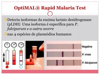 OptiMAL® Rapid Malaria Test
 Detecta isoformas da enzima lactato desidrogenase

(pLDH) Uma isoforma é específica para P.
falciparum e a outra ocorre
 nas 4 espécies de plasmódios humanos

 