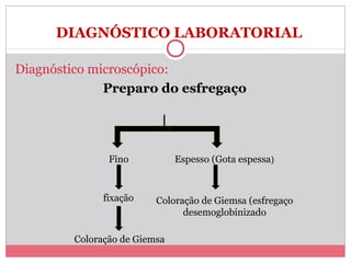 DIAGNÓSTICO LABORATORIAL
Diagnóstico microscópico:
Preparo do esfregaço

Fino

Espesso (Gota espessa)

fixação

Coloração de Giemsa (esfregaço
desemoglobinizado

Coloração de Giemsa

 