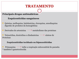 TRATAMENTO
Principais drogas antimaláricas
Esquizonticidas sanguíneos
 Quinina, mefloquina, halofantrina, cloroquina, amodiaquina

digestão de produtos da hemoglobina
 Derivados de artemisina

metabolismo das proteínas

 Tetraciclina, doxiciclina e clindamicina

síntese de

Proteínas
Esquizonticidas teciduais ou hipnozoiticidas
 Primaquina

inibe a respiração mitocondrial do parasita
* também é gametocitocida

 