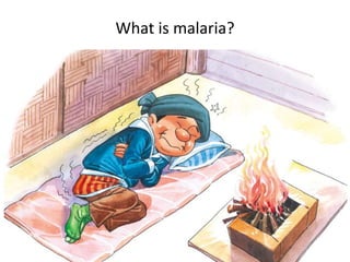 What is malaria?
 
