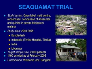 SEAQUAMAT TRIAL
   Study design: Open label, multi centre,
    randomised, comparison of artesunate
    and quinine in severe falciparum
    malaria
   Study sites: 2003-2005
      Bangladesh

      Indonesia (Timika Hospital, Timika)

      India

      Myanmar
   Target sample size: 2,000 patients
   1400 enrolled as at February 2005
   Coordination: Wellcome Unit, Bangkok
 