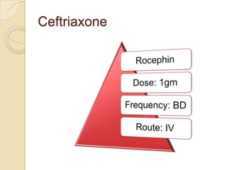 Ceftriaxone

 