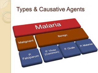 Types & Causative Agents

 