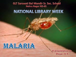 Malaria by divya srivastava