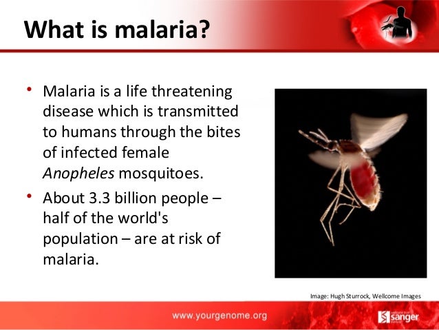 Malaria presentation