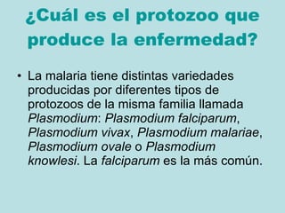 ¿Cuál es el protozoo que produce la enfermedad? La malaria tiene distintas variedades producidas por diferentes tipos de protozoos de la misma familia llamada  Plasmodium :  Plasmodium falciparum ,  Plasmodium vivax ,  Plasmodium malariae ,  Plasmodium ovale  o  Plasmodium knowlesi . La  falciparum  es la más común. 
