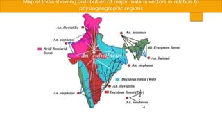 Map of India showing distribution of major malaria vectors in relation to
physiogeographic regions
 