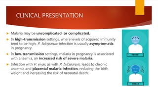 CLINICAL PRESENTATION
 Malaria may be uncomplicated or complicated.
 In high-transmission settings, where levels of acquired immunity
tend to be high, P. falciparum infection is usually asymptomatic
in pregnancy.
 In low-transmission settings, malaria in pregnancy is associated
with anaemia, an increased risk of severe malaria.
 Infection with P. vivax, as with P. falciparum, leads to chronic
anaemia and placental malaria infection, reducing the birth
weight and increasing the risk of neonatal death.
 