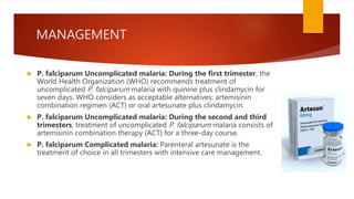 MANAGEMENT
 P. falciparum Uncomplicated malaria: During the first trimester, the
World Health Organization (WHO) recommends treatment of
uncomplicated P. falciparum malaria with quinine plus clindamycin for
seven days. WHO considers as acceptable alternatives: artemisinin
combination regimen (ACT) or oral artesunate plus clindamycin.
 P. falciparum Uncomplicated malaria: During the second and third
trimesters, treatment of uncomplicated P. falciparum malaria consists of
artemisinin combination therapy (ACT) for a three-day course.
 P. falciparum Complicated malaria: Parenteral artesunate is the
treatment of choice in all trimesters with intensive care management.
 